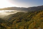 Parco Nazionale Foreste Casentinesi, Autunno, Giordano Giacomini