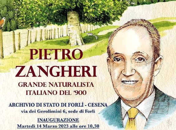 Pietro Zangheri - Una mostra celebra il grande naturalista